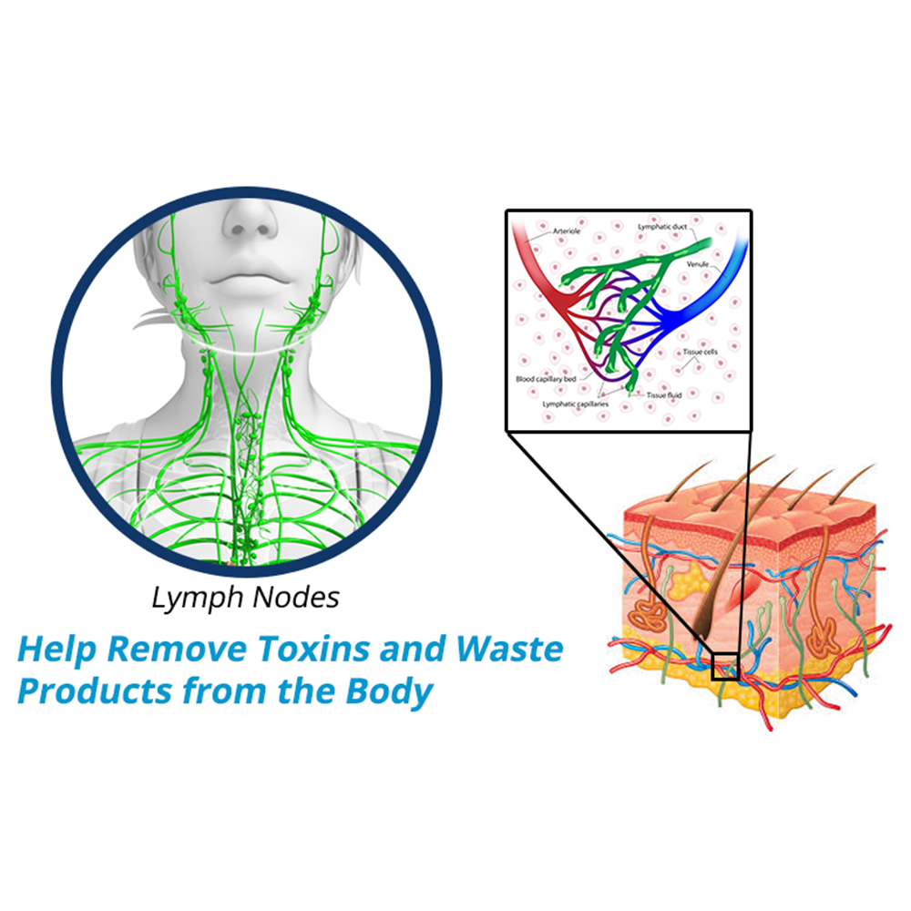EMS Microcurrent Facial V Shape Beauty Device