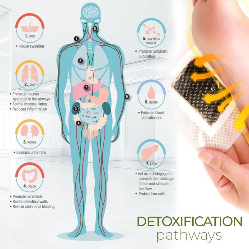 DetoxPlus Lymphatic Drainage Foot Pads